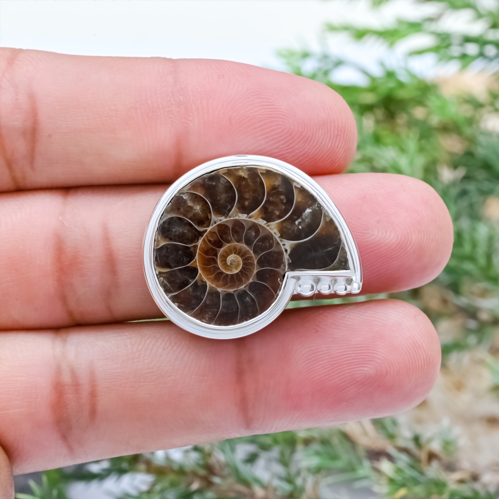 Natural Ammonite Fossil Sterling Silver Rings Jewellery