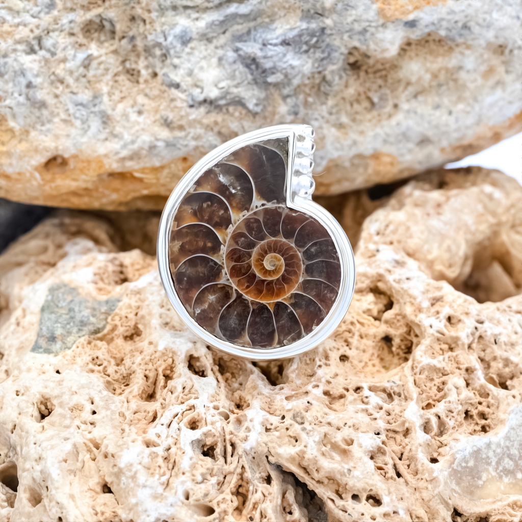 Natural Ammonite Fossil Sterling Silver Rings Jewellery