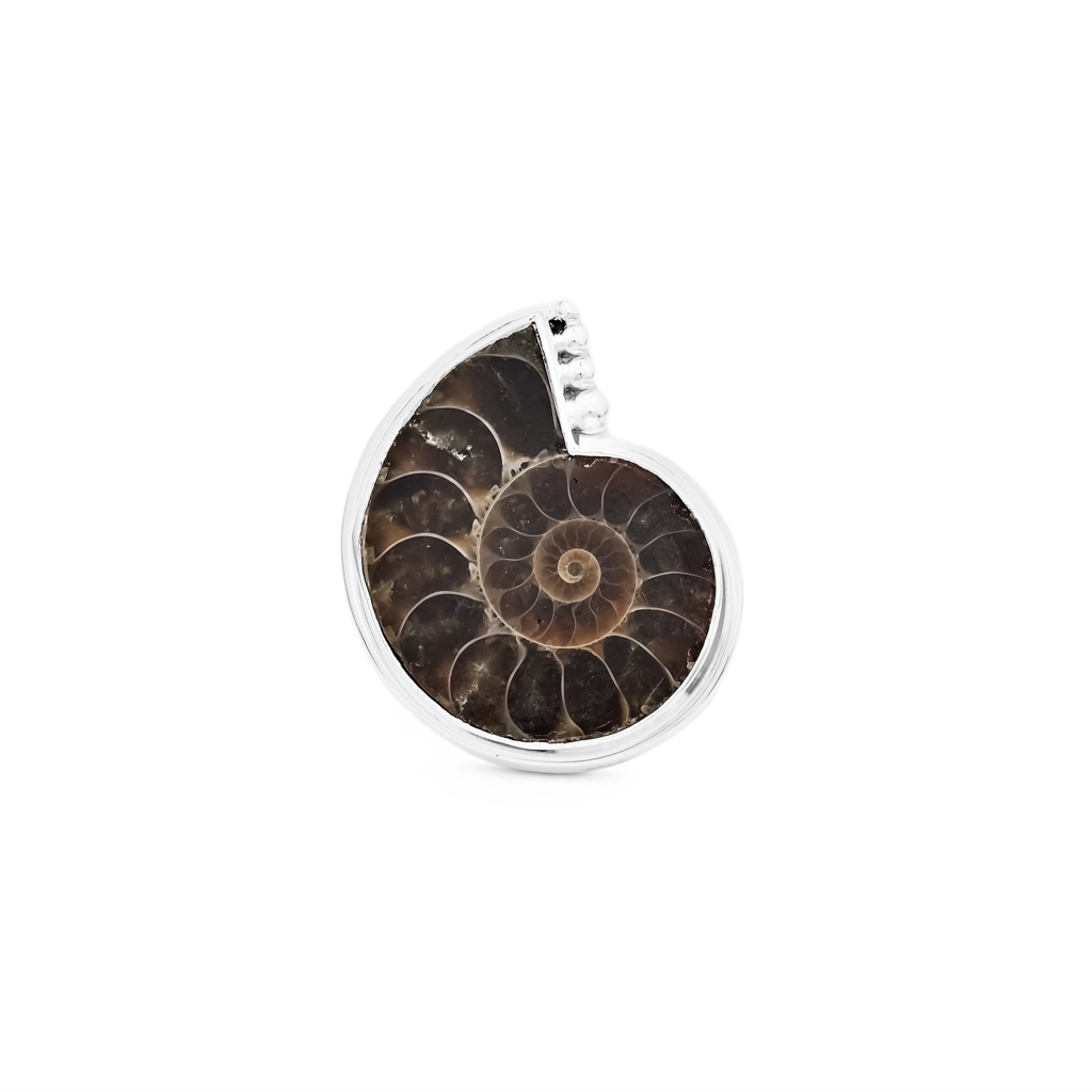 Natural Ammonite Fossil Sterling Silver Rings Jewellery