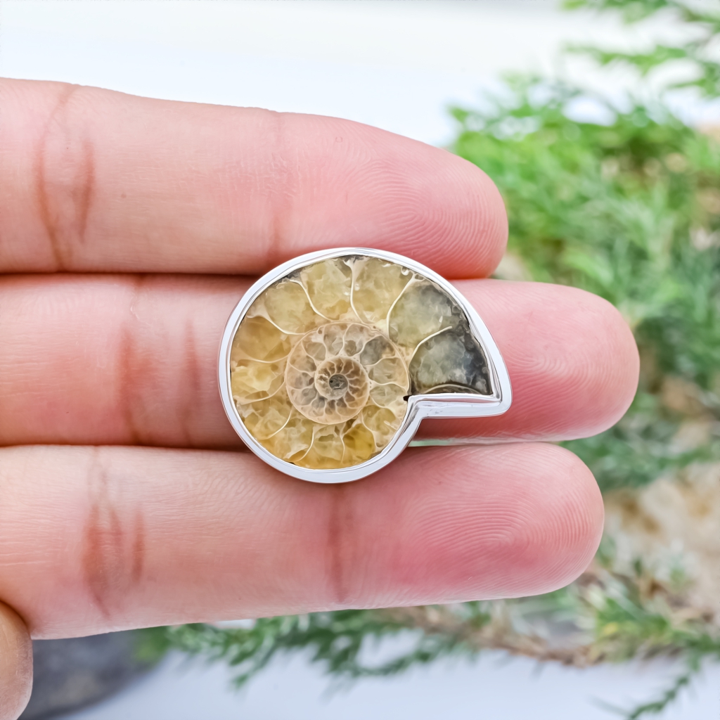 Vintage Ammonite Fossil Sterling Silver Rings