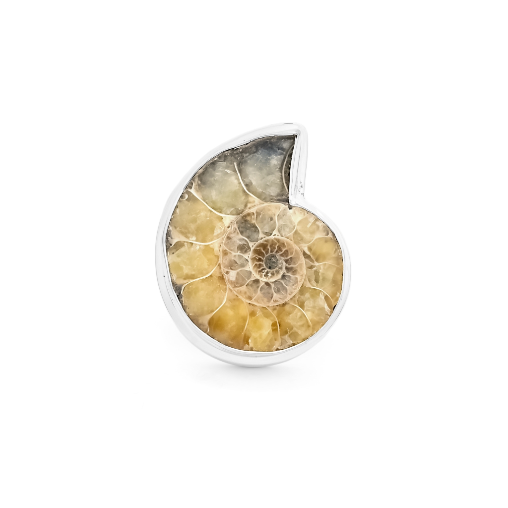 Vintage Ammonite Fossil Sterling Silver Rings
